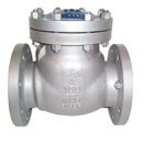 Check Valves and Backflow Preventers