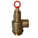 Relief Valves