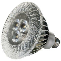 LED Lamps and Bulbs